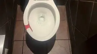 9,599. Bonefish Grill Men’s Restroom