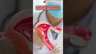 Bolehkah Langsung Berhubungan Setelah Minum Pil KB ? Ini Faktanya