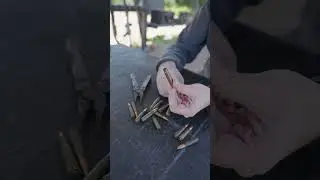 Из чего состоит патрон? #shorts