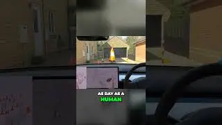 🤣 Cone Costume VS Tesla ai FSD System! Will it CRASH!? #tesla #cone #wife #crash #fsd #autopilot