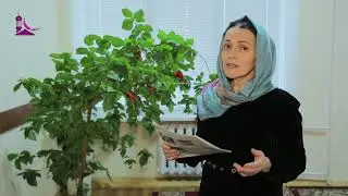 НАИРА РАМАЗАНОВА о газете АС-САЛАМ