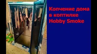 I smoke fish at home using a Hobby Smoke smoker.