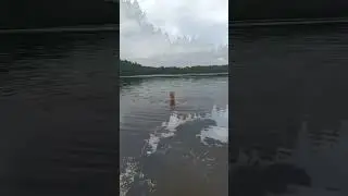 Шапки.Озеро Белое.