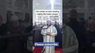 Cat jumps on sheikh walid Mehsas during prayers at mosque in Algeria 