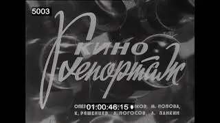 НАША ИСТОРИЯ: 1960-е. Казахстан. Сев кукурузы. Трактора.