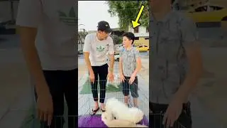 اشتريت جلب سعره 40 ورقة لاخوية 😱🔥