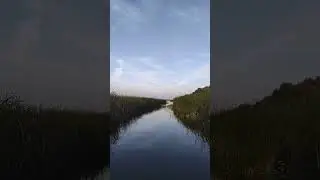 Секретный фарватер сквозь заросли 🌊💦🔥 