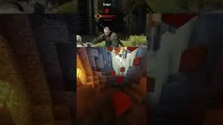 Training with vesemire be like #minecraft #archeage #americanpolitician #memes #gaming