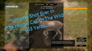 Longest Shot ever in COTW