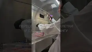Так выглядит мой вечер в лаборатории, где я изучаю рак крови.