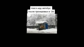 жиза
