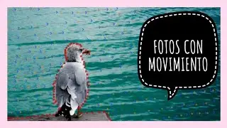 COMO HACER FOTOS CON MOVIMIENTO