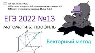 13 задание ЕГЭ (метод координат) математика профиль 2022