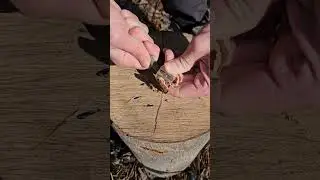A few great survival uses for a pencil sharpener