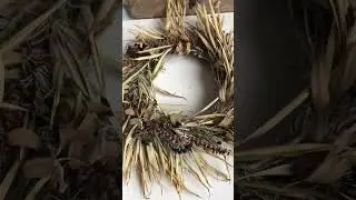 Этот венок ещё жив?! #diy