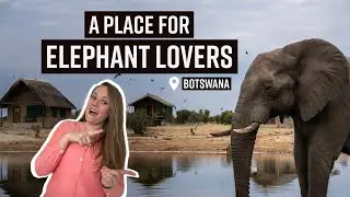 For ELEPHANT lovers: Elephant Sands Lodge in Botswana