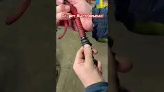 Быстросьем! Автосервис!