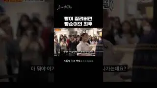 빵순이의 최후 #shorts #워크맨