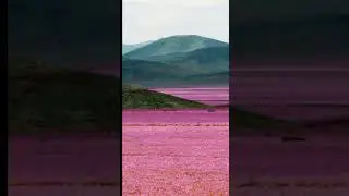 Удивительный факт про пустыню Атакама.