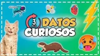 Datos Curiosos en 3 Minutos 😎 (3)
