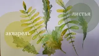 Акварель,  рисую листья. Как нарисовать листья.