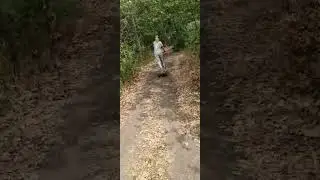 With electric scooter vs forest road