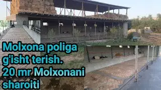 Molxona poliga g'isht terish 20 metrli molxonani sharoitlari va xarajatlari