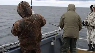 Мурманск, бухта Ура Губа, 2017