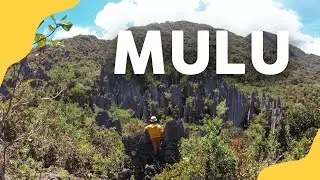 My Adventure in Mulu, Sarawak