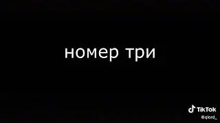 top 5 kediler