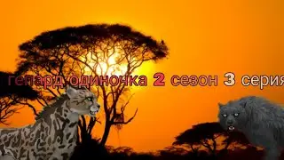 гепард одиночка 2  сезон 3 серия ( вилд крафт мини фильм)