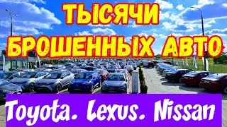 ТЫСЯЧИ БРОШЕННЫХ Автомобилей TOYOTA. LEXUS. Nissan !!! 😱🚘