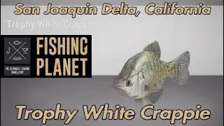 Fishing Planet Trophy White Crappie San Joaquin Delta California Guide