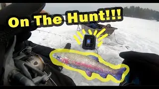 Searching for a Southern Maine Rainbow!