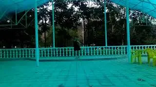 Самба черного мотылька
