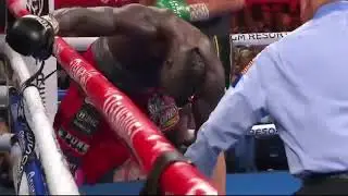 Le ko de Deontay wilder