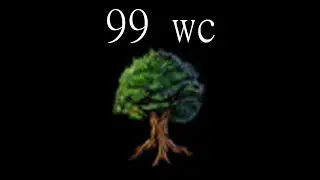 99 wcing