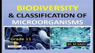 GRADE 11 BIODIVERSITY & CLASSIFICATION OF MICROORGANISMS: LIFE SCIENCE 2023 [THUNDEREDUC] BY M.SAIDI