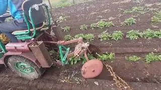 окучивание картошки