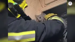 🔥Будни добровольцев🔥