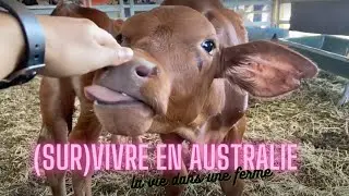 PVT AUSTRALIE (Ep.05) | A DAY IN MY LIFE