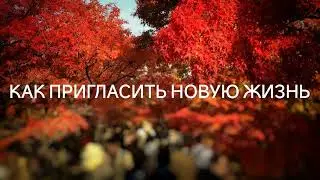 Стать мамой. Как пригласить новую жизнь (13.10.2022) 