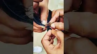 உயிருக்கு போராடி கொண்டிருந்த ஓர் குயிலை காப்பாற்றியது | MADURAI #koel  #rescue #rescuebirds #shorts
