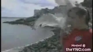 FAIL Compilation - Birds Attacking People