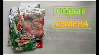 ПРИКУПИЛ  малёха семян для  посева