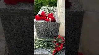 7 мая 2023 г.