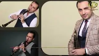 DAVID DAVIDOV 🎵 " Dele Divooneh "  instrumental cover