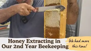 HONEY EXTRACTION WITH VEVOR EXTRACTOR PART 1 | BEEKEEPING
