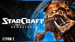 Среди руин | StarCraft: Remastered | Стрим #2