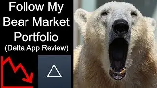 Crypto Bear Market Portfolio At This Link (Delta App Review)